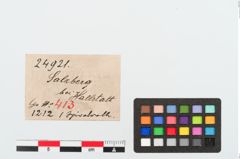 Etiketten zu Bronzespiralröhrchen (NHMW-PRAE-024921)